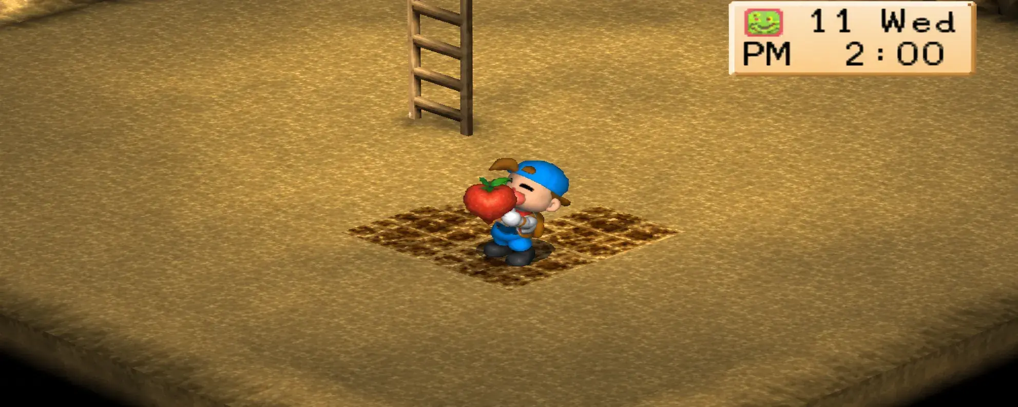 Power Berry in Harvest Moon Back to Nature
